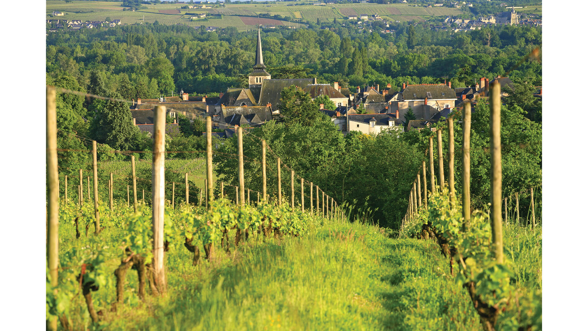 The Lure Of The Loire The Somm Journal